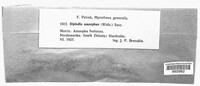 Image Associated With the Occurence
